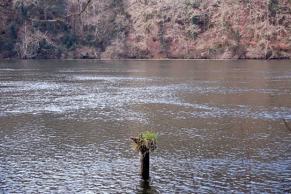 Foto 150 da atividade Galeria de Fotos