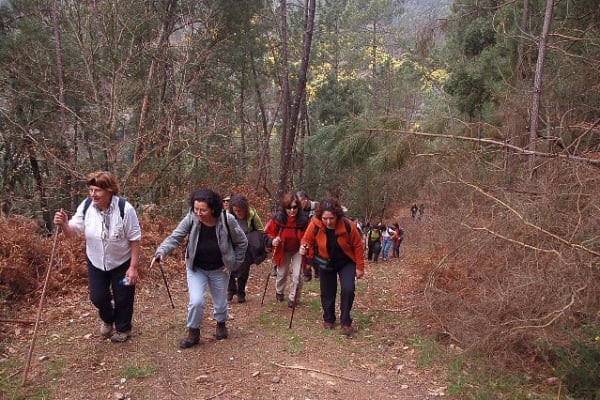 Foto 151 da atividade Galeria de Fotos