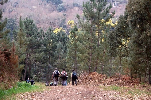 Foto 141 da atividade Galeria de Fotos