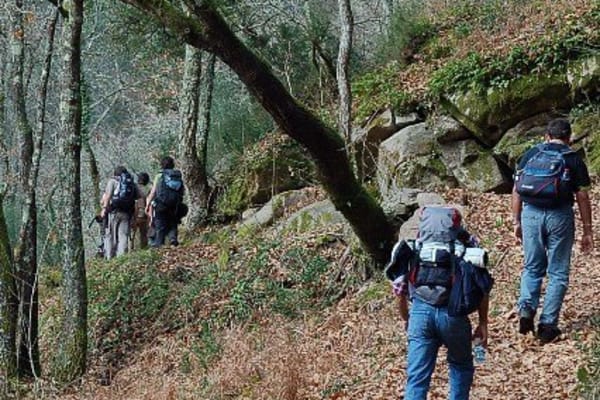 Foto 97 da atividade Galeria de Fotos