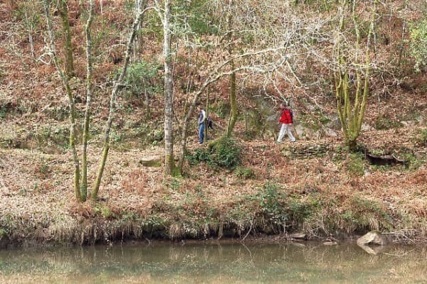 Foto 93 da atividade Galeria de Fotos