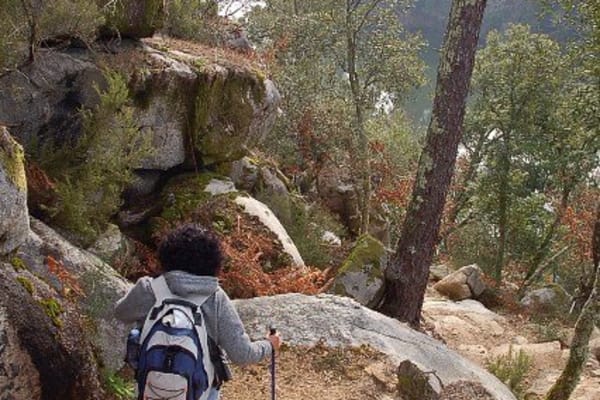 Foto 77 da atividade Galeria de Fotos