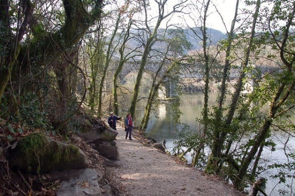 Foto 73 da atividade Galeria de Fotos