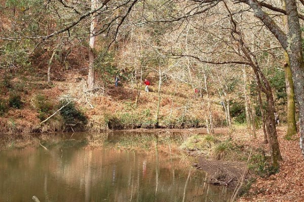 Foto 60 da atividade Galeria de Fotos