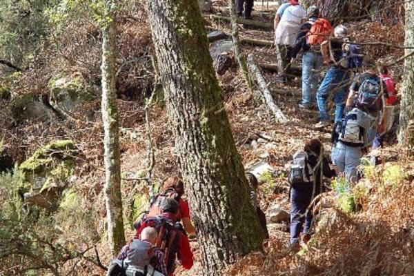 Foto 58 da atividade Galeria de Fotos