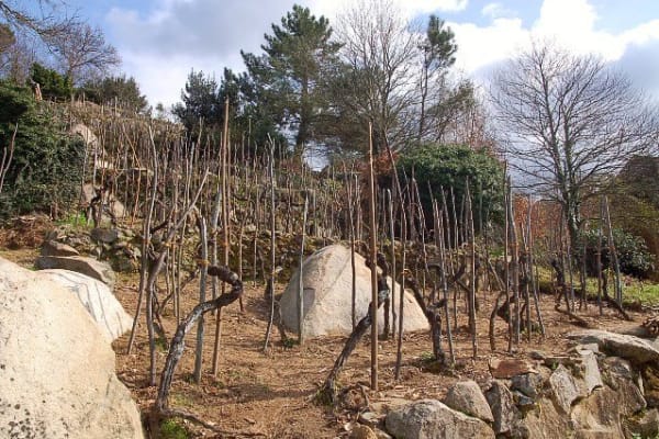 Foto 53 da atividade Galeria de Fotos