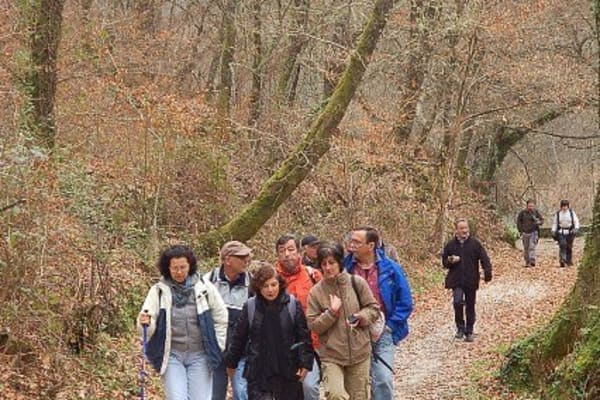 Foto 20 da atividade Galeria de Fotos