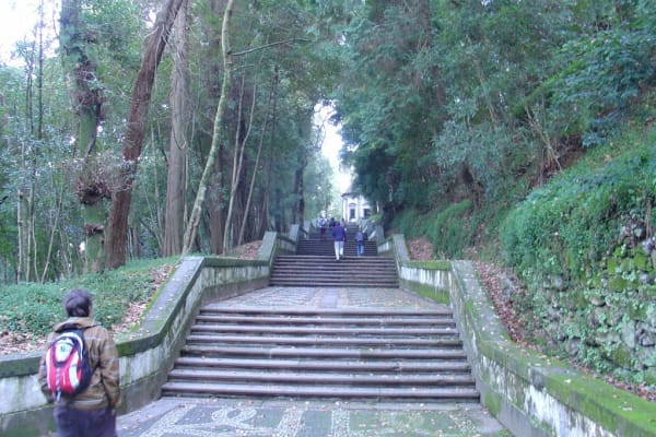 Foto 94 da atividade Galeria de Fotos