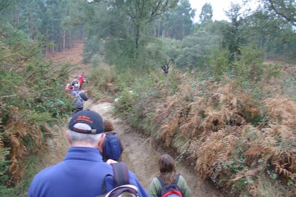 Foto 76 da atividade Galeria de Fotos