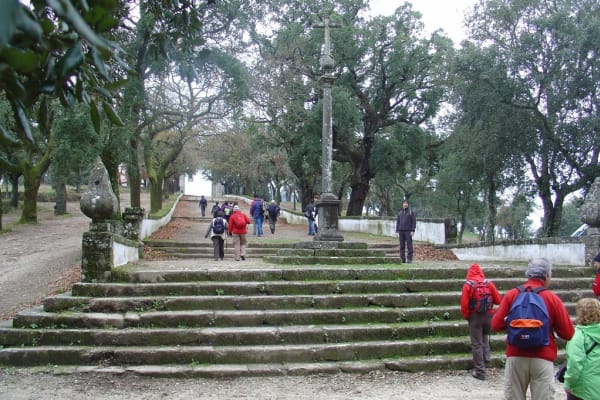 Foto 70 da atividade Galeria de Fotos