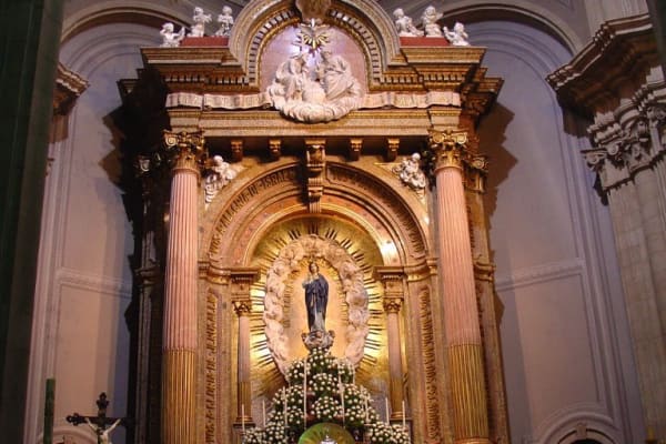 Foto 55 da atividade Galeria de Fotos