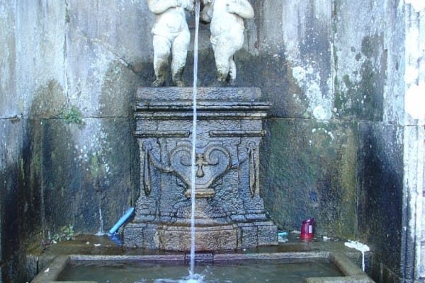 Foto 18 da atividade Galeria de Fotos