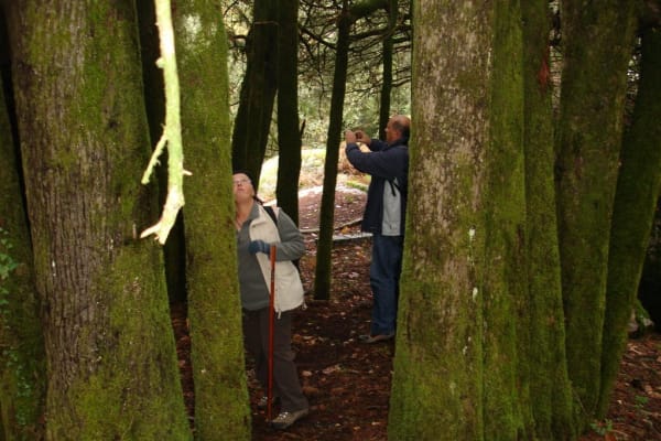 Foto 87 da atividade Galeria de Fotos