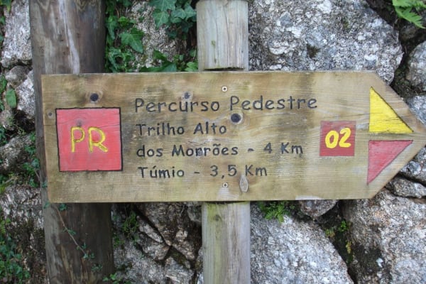 Foto 81 da atividade Galeria de Fotos