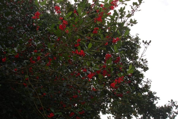 Foto 77 da atividade Galeria de Fotos