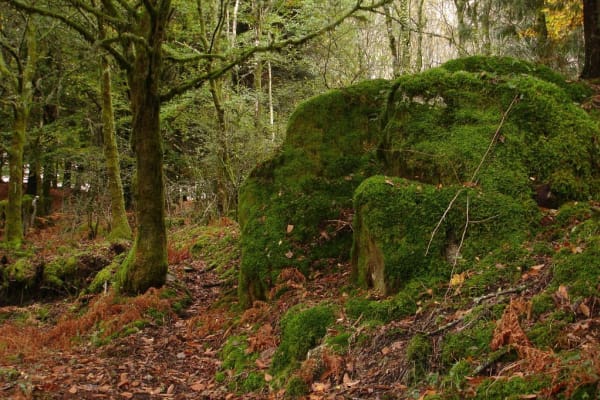 Foto 80 da atividade Galeria de Fotos