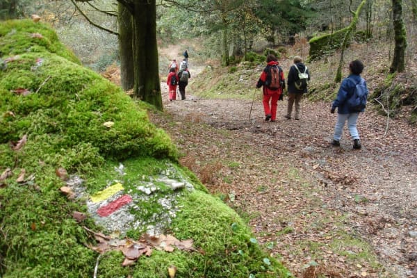 Foto 60 da atividade Galeria de Fotos