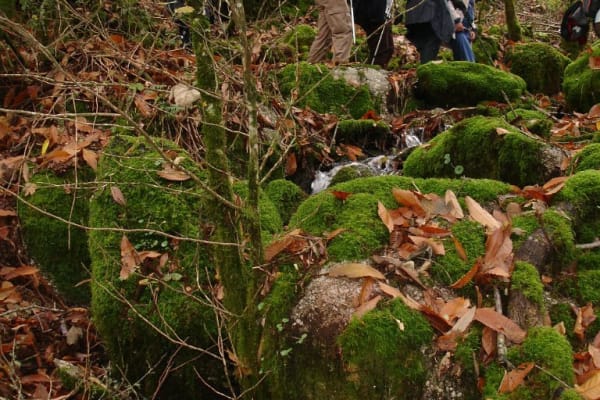 Foto 46 da atividade Galeria de Fotos