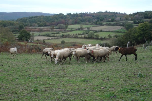 Foto 44 da atividade Galeria de Fotos