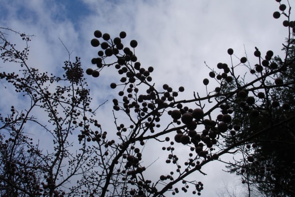 Foto 34 da atividade Galeria de Fotos