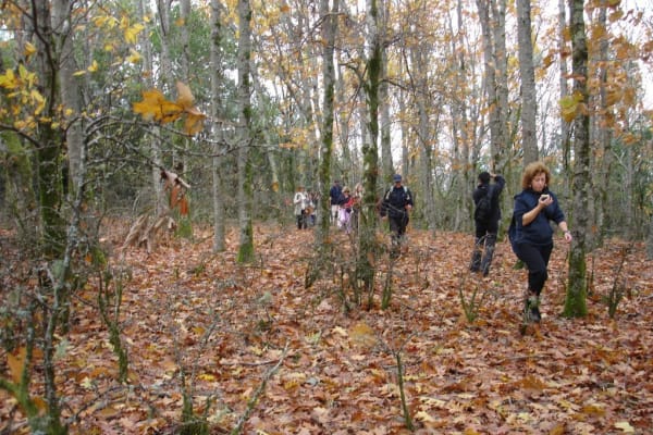 Foto 27 da atividade Galeria de Fotos