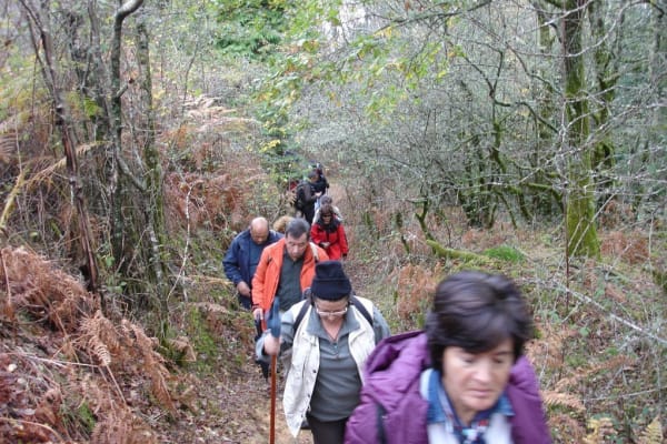 Foto 23 da atividade Galeria de Fotos