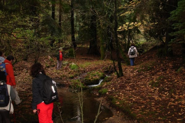 Foto 26 da atividade Galeria de Fotos