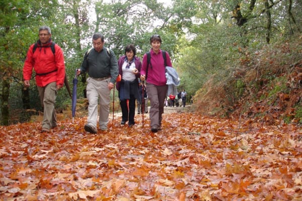 Foto 15 da atividade Galeria de Fotos