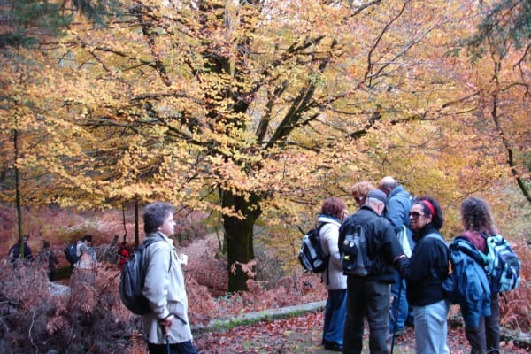 Foto 14 da atividade Galeria de Fotos