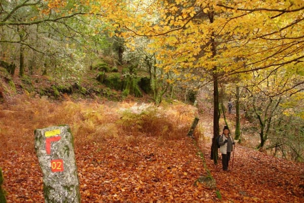 Foto 17 da atividade Galeria de Fotos