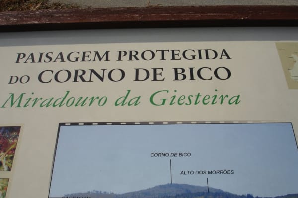 Foto 11 da atividade Galeria de Fotos