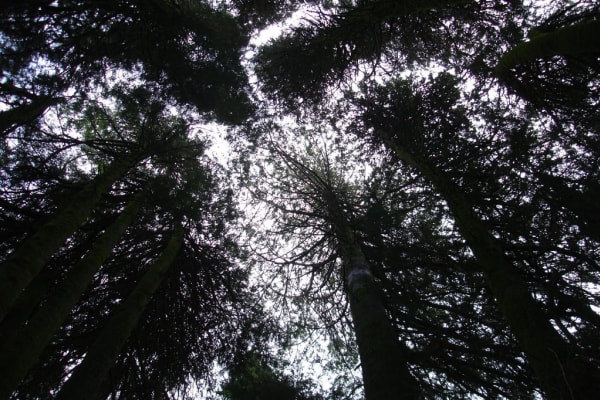 Foto 9 da atividade Galeria de Fotos