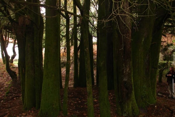 Foto 13 da atividade Galeria de Fotos