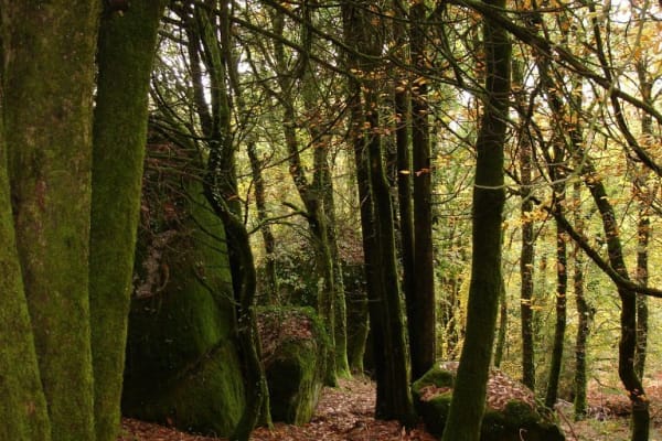 Foto 6 da atividade Galeria de Fotos