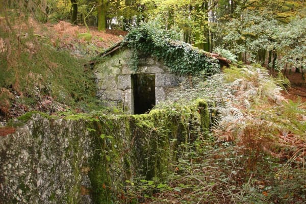 Foto 4 da atividade Galeria de Fotos