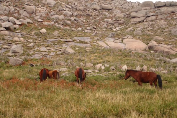 Foto 104 da atividade Galeria de Fotos