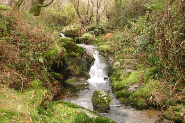 Foto 88 da atividade Galeria de Fotos