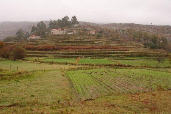 Foto 85 da atividade Galeria de Fotos