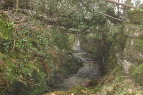 Foto 80 da atividade Galeria de Fotos