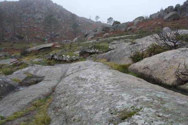 Foto 51 da atividade Galeria de Fotos