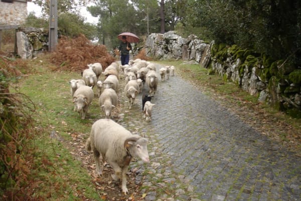 Foto 50 da atividade Galeria de Fotos