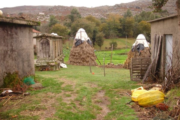 Foto 30 da atividade Galeria de Fotos