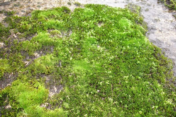 Foto 11 da atividade Galeria de Fotos