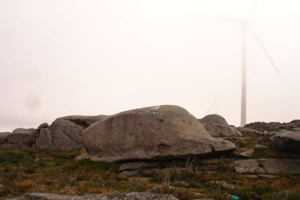 Foto 10 da atividade Galeria de Fotos