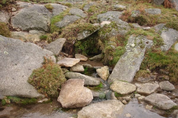 Foto 5 da atividade Galeria de Fotos