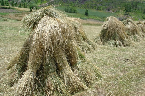 Foto 139 da atividade Galeria de Fotos