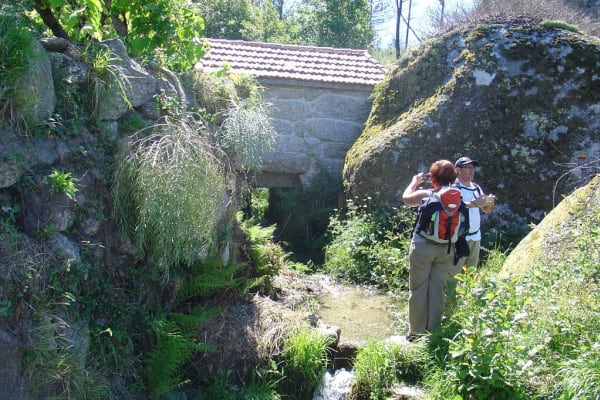 Foto 137 da atividade Galeria de Fotos