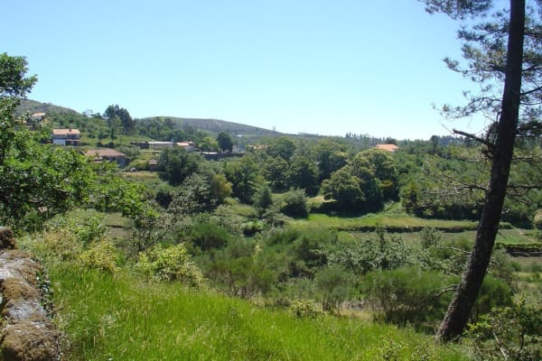 Foto 125 da atividade Galeria de Fotos