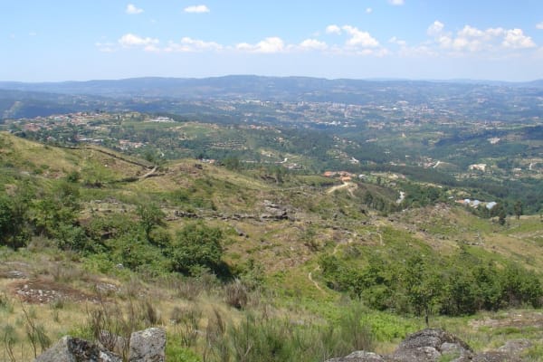 Foto 118 da atividade Galeria de Fotos