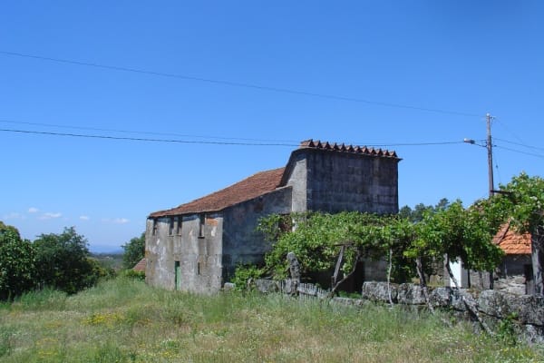 Foto 100 da atividade Galeria de Fotos